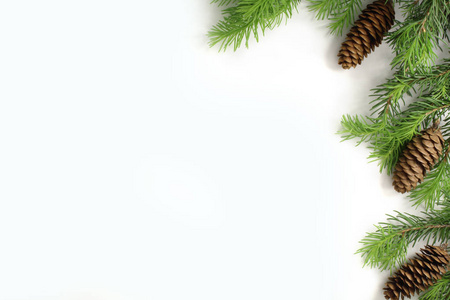 圣诞作文。杉木树枝的圣诞节边界冷杉锥体。圣诞壁纸。平仓