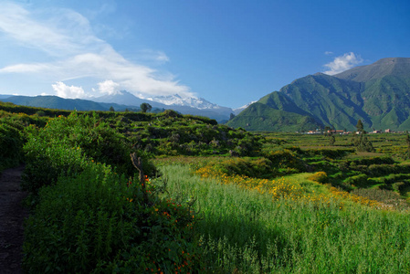 Colca 峡谷在阿雷基帕地区