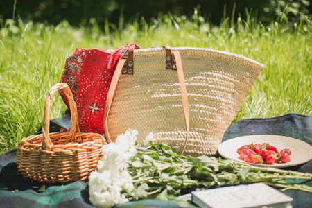 夏天野餐在自然与莓果和果子