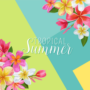 夏日花卉海报。热带异国情调的鸡蛋花设计为横幅, 传单, 小册子, 织物印刷。你好夏天水彩背景。矢量插图