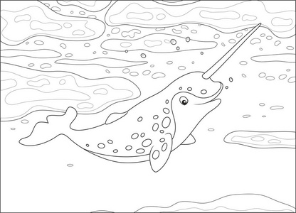 斑点独角鲸与长的象牙游泳在冰在极地海, 黑白矢量例证在卡通样式为着色书