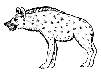 鬣狗 野生动物 自然 动物的插图