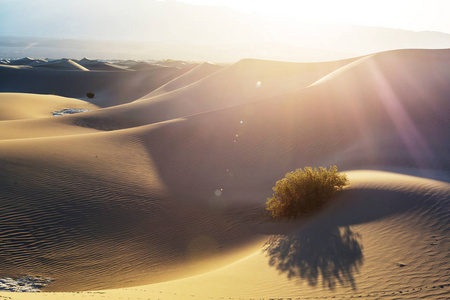 沙丘在死亡谷国家公园，加利福尼亚州，美国