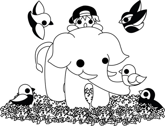 一只大象和小鸟