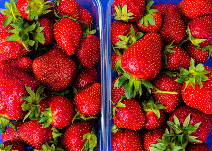 保鲜草莓塑料容器