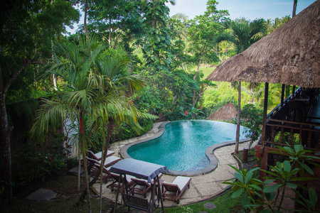 美丽的田园泳池 Bli 岛，印度尼西亚