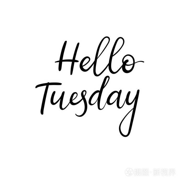 你好,星期二.手写的现代书法题字.矢量画笔字母