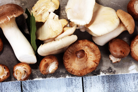 灰桌上的生蘑菇品种繁多。牡蛎和其他新鲜蘑菇