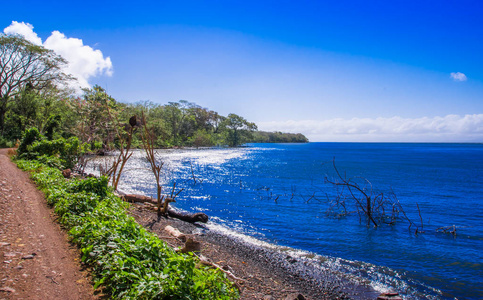 美丽的户外景观的海洋海滨在岛上的 Ometepe 在尼加拉瓜。Ometepe 岛的自然环绕