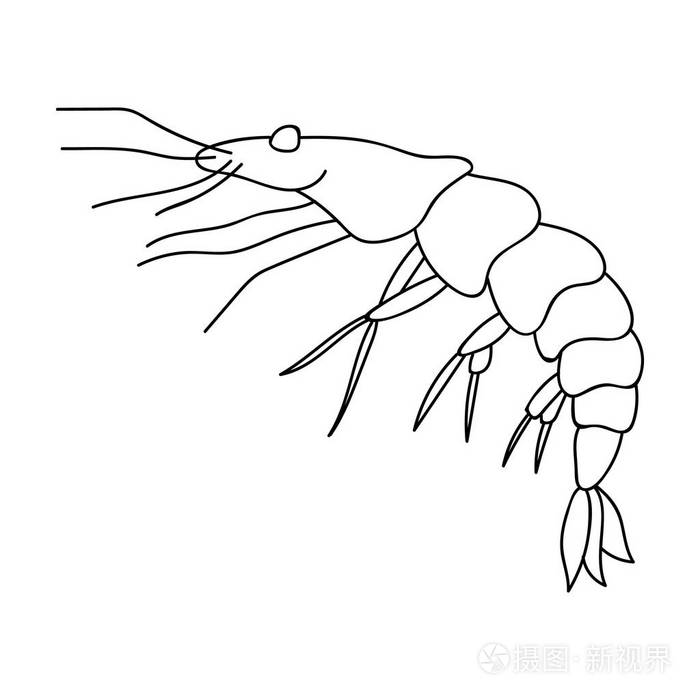 海洋动物符号股票矢量图插画-正版商用图片0oai2e-摄图新视界