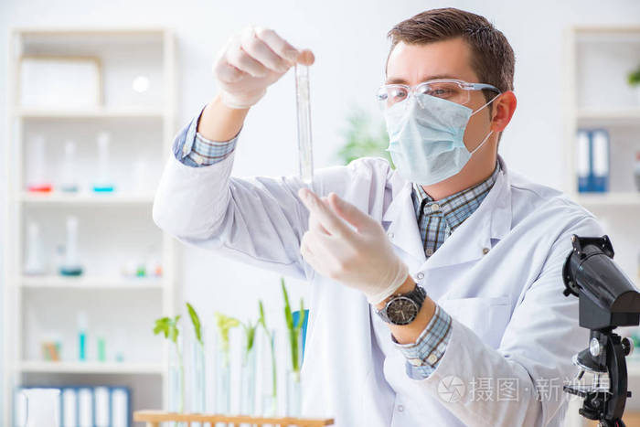 在植物实验室工作的男性生物化学家
