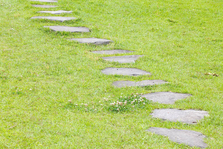 日本的石道和花园里的绿草