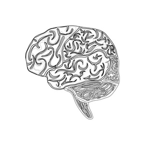 人类的大脑符号
