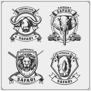 一套非洲动物标志。狮子, 大象, 犀牛和水牛