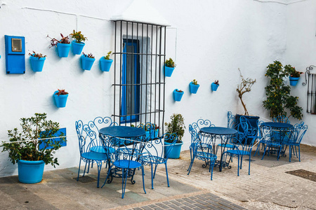 西班牙安大路西亚米哈斯的蓝色花盆里有花的房子门面