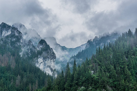 Tatra 多雾的大山景色。Tatra 国家公园。波兰, 欧洲。戏剧性的场面。美容天地