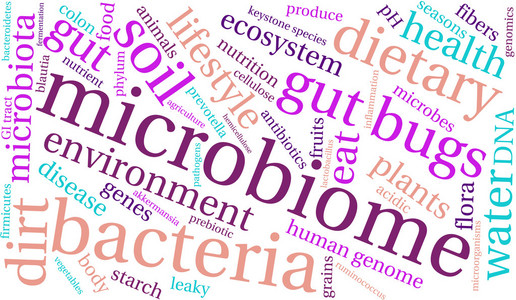 微生物群系词云