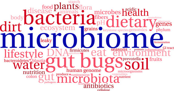 微生物群系词云