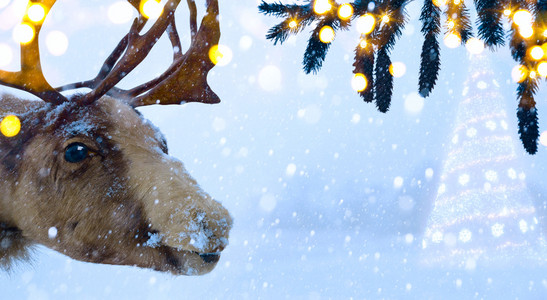 艺术与圣诞老人鹿和 Chr 圣诞假期背景