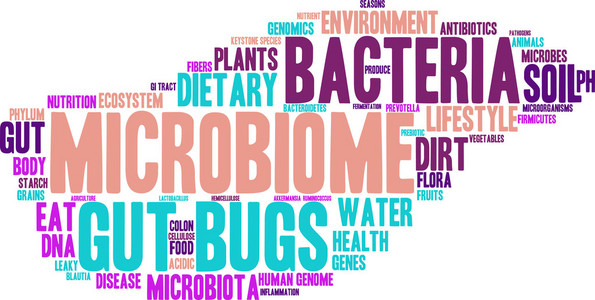 微生物群系词云图片