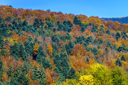 Alsacien 山的美丽多彩的秋季风景