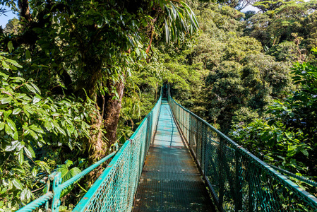 Cloudforest, 蒙特韦德, 哥斯达黎加的吊桥