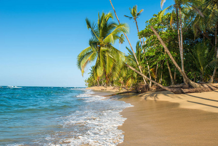 在波多黎各的海滩图片-在波多黎各的海滩素材-在波多黎各的海滩插画