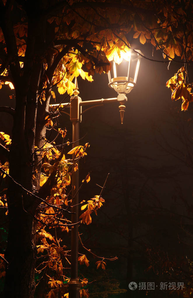 树灯和路灯照片-正版商用图片0ob291-摄图新视界