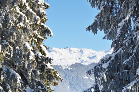 Braunwald，瑞士在冬天