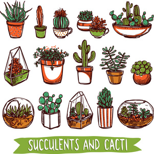 植物素描图片 植物素描素材 植物素描插画 摄图新视界