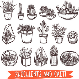 植物素描图片 植物素描素材 植物素描插画 摄图新视界