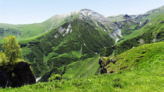 山风景全景。山坡上的绿色植被, 山峰上的积雪。晴朗的蓝天