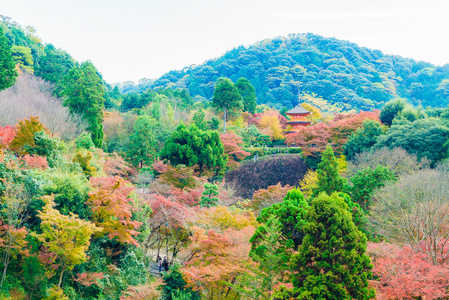 美丽的建筑，在清水寺