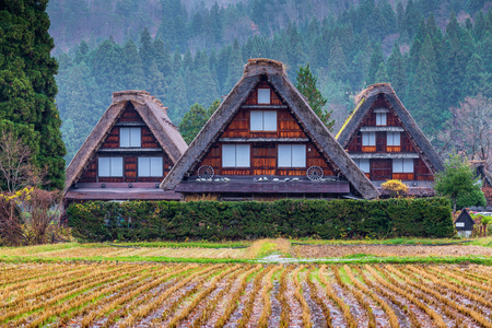传统和历史日本村白川乡在秋天图片