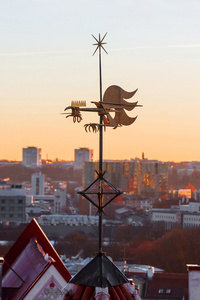 叶片在爱沙尼亚首都塔林一所房子的屋顶上