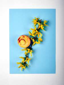 一枝黄色的春天花和美味的法式甜点 macaron  玛卡龙。连翘是一种美丽的灌木, 在春天开花。时尚蓝色背景下的食物和植物