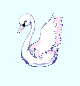 手绘天鹅图片
