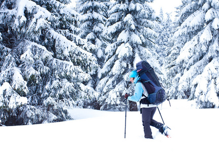 徒步旅行者在雪森林行走