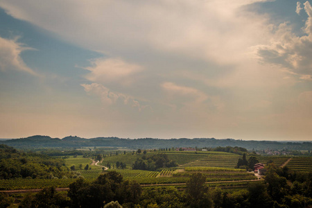 暴风雨即将来临领域的 Collio，意大利葡萄园