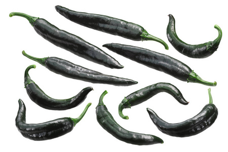 Chilaca 智利辣椒被称为 Pasilla Bajio 当成熟干燥, 整个豆荚