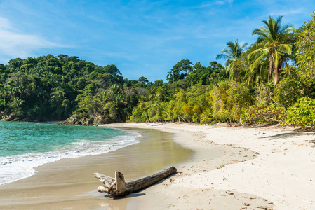 哥斯达黎加圣安东尼奥国家公园的热带海滩