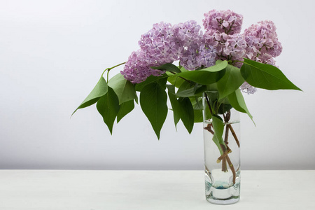 花瓶中的丁香花与白色背景