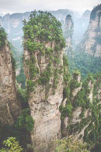 张家界森林公园。从峡谷中升起的巨大的柱子山脉。中国湖南省