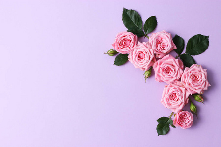 设计组成美丽美丽的玫瑰组成在柔和的背景和文本插入空间.