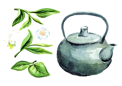 茶壶配绿茶叶套.水彩手绘插图, 在白色背景下隔离照片