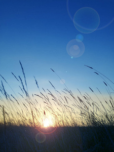 丰富多彩的, 充满活力和平静的夏日风光与日落照片