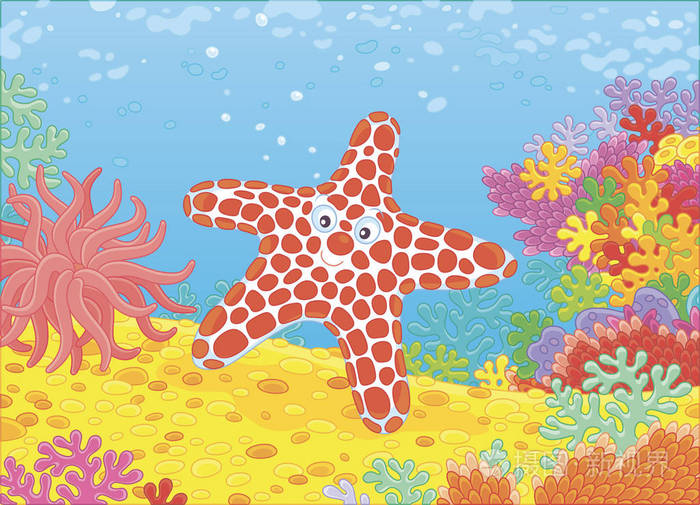 热带海礁上五颜六色的珊瑚中的滑稽海星卡通风格的矢量插画