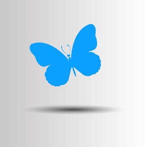 矢量蝴蝶昆虫艺术白色飞图形图片