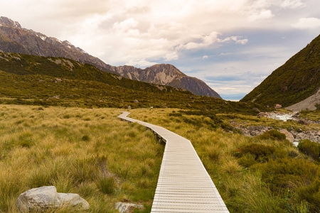 通往新西兰的木制步行路热带自然景观背景