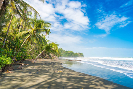 海滩 Negra 海滩在 Cahuita, 利蒙哥斯达黎加热带和天堂海滩在加勒比海岸